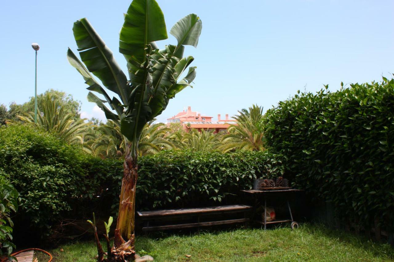 Leilighet Con Jardin Y Pescina Puerto de la Cruz (Tenerife)